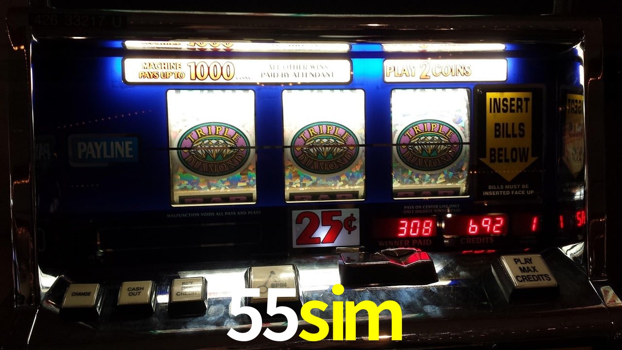 Daily Bonuses 55sim